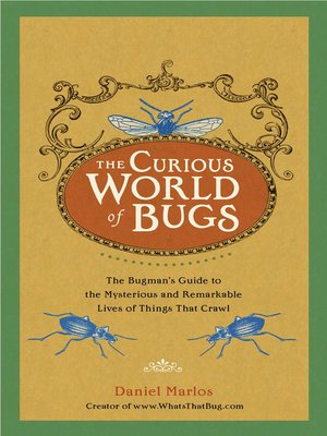 cover image of The Curious World of Bugs
